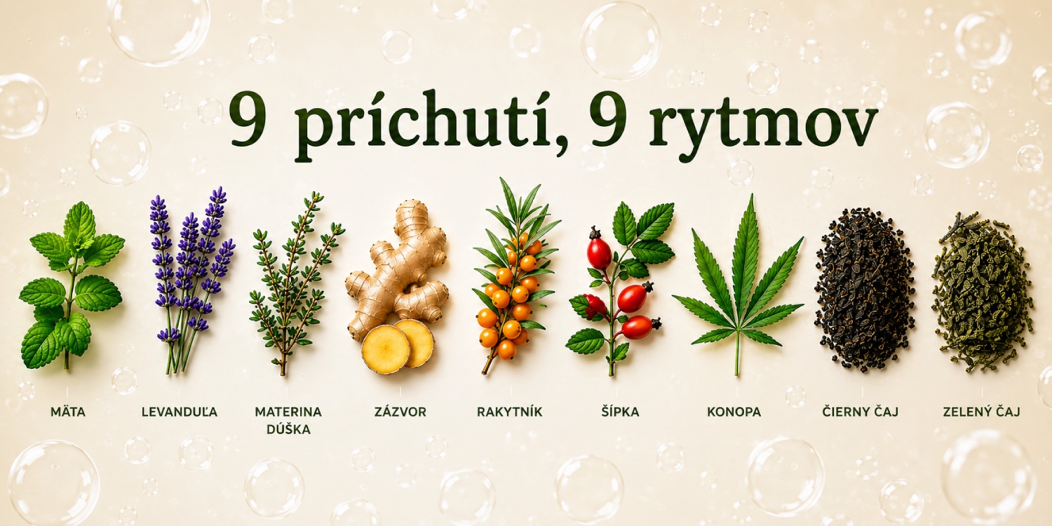 Príchute ChaCha KOMBUCHA